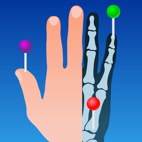 e-Anatomy logo