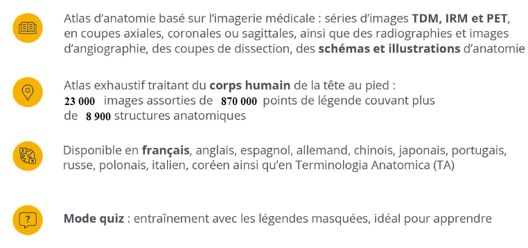 E-Anatomy texte