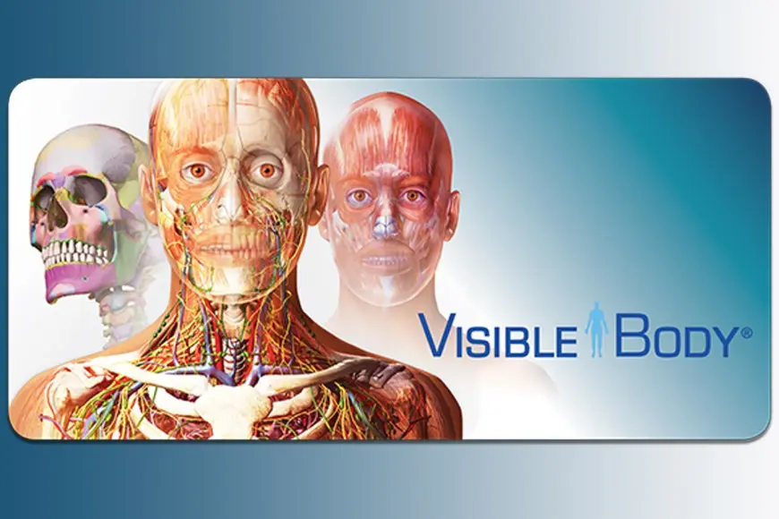 Visible Body